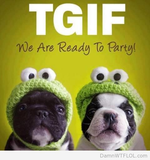 tgif dogs