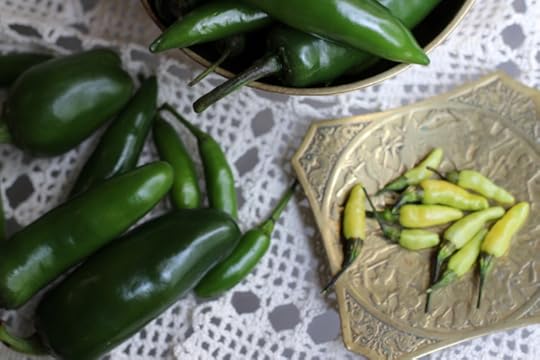 Chillies Mozambique Bastardo