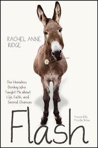 Flash by Rachel Anne Ridge