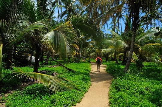 Photograph Tayrona National Park by Paulo Capiotti on 500px