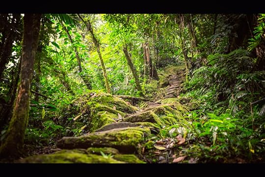 Photograph 1.260 Steps by Martin Spijker on 500px