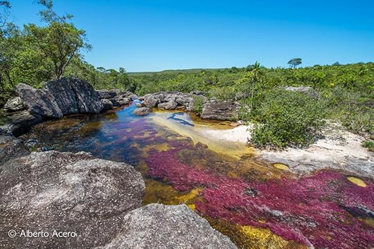Photograph Caño Cristales - La Macarena by Alberto Acero on 500px