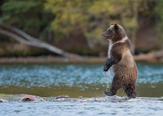 Photograph Tip-toe Through the Fish by Pat Roque on 500px