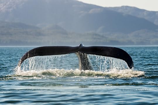 Photograph Typical one, but worth it by Florent NICOLAS on 500px