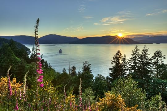 Photograph Wandering Through the Weeds by Shaadi Faris on 500px
