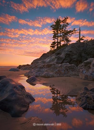 Photograph Too Cool Tide Pools by Vincent Piotrowski on 500px