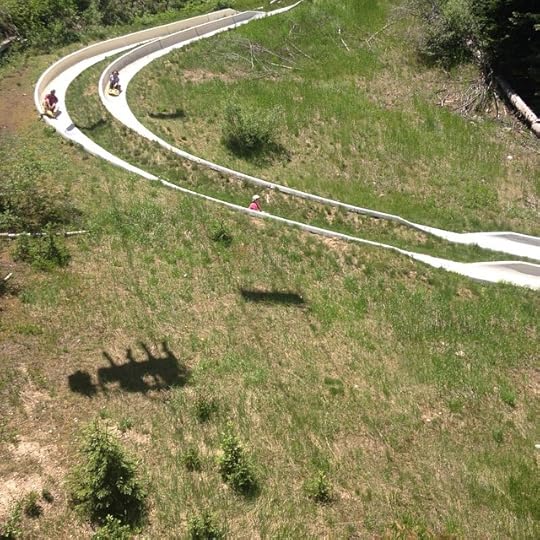 ALPINE SLIDE #419journey