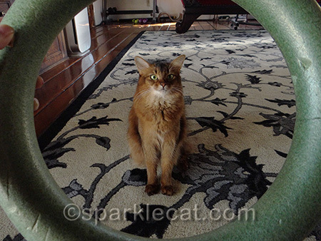What? I see nothing unusual about this.