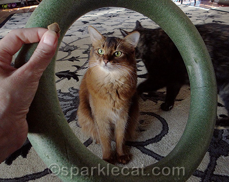 Yes, my eye is on the prize!