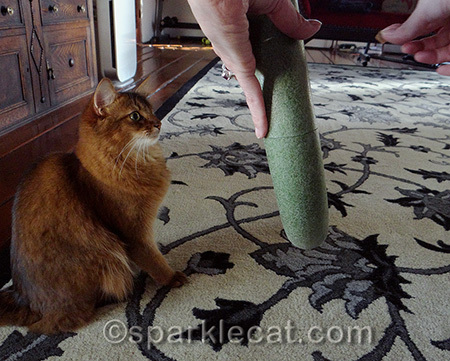 This treat's mine!