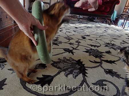 The more I do it, the more treats I get!