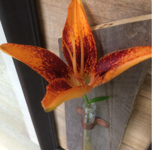 Lilly