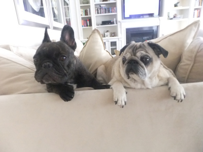 The original Lulu and Bubba!
