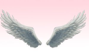 wings