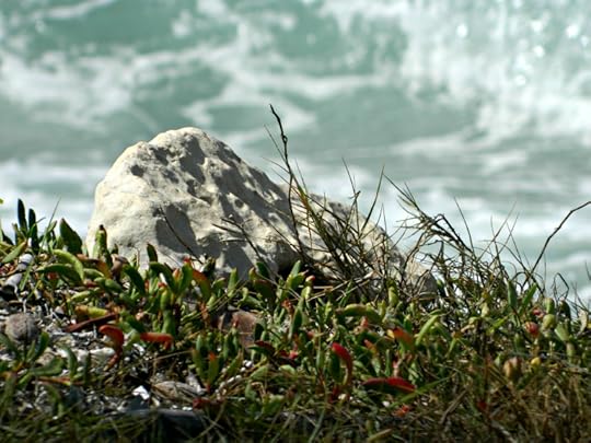 photo 101 days 11 and 12 057 tu