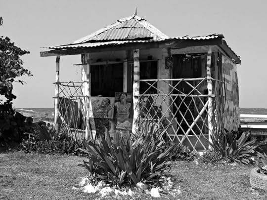 photo 101 days 11 and 12 045 bw