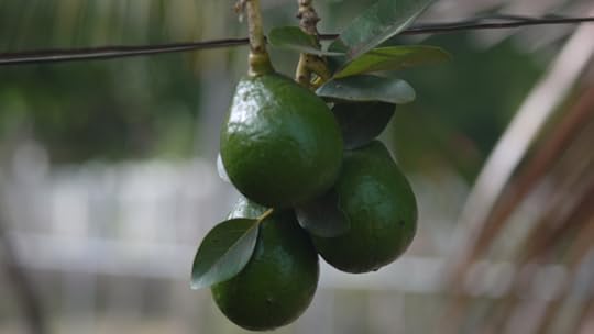 photo 101 weekend 2 play with light 006