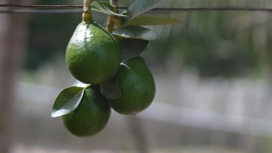 photo 101 weekend 2 play with light 020