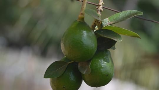 photo 101 weekend 2 play with light 053