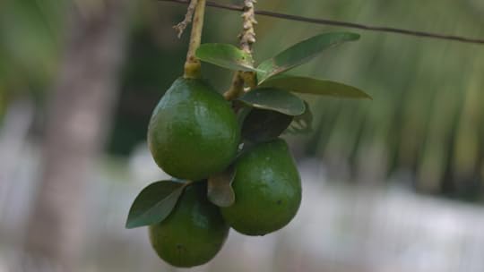 photo 101 weekend 2 play with light 056