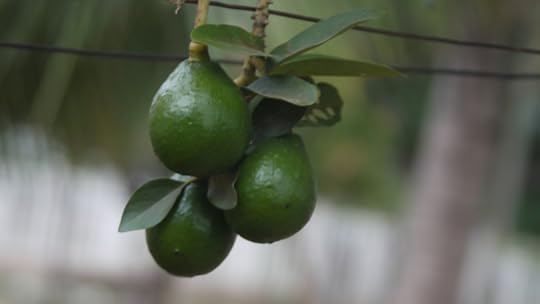 photo 101 weekend 2 play with light 062