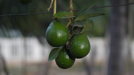 photo 101 weekend 2 play with light 093