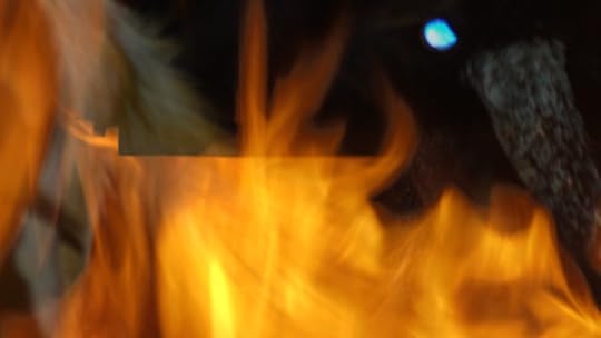 photo 101 day 10 mystery and light effects 010 de tu