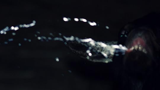 photo 101 day 8 warmth and the quality of light 025 de tu