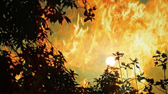 photo 101 day 8 warmth and the quality of light 004 tu