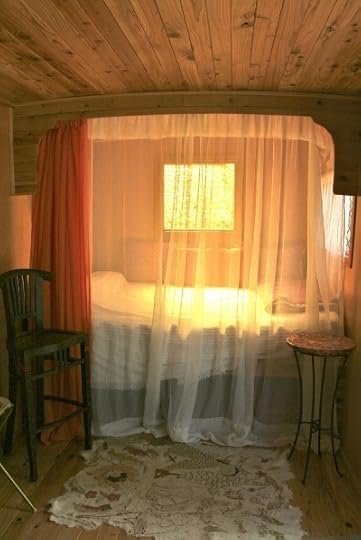  photo 1b87fbf2-6292-4659-969e-c9c747a150c7_zpsia6v9qvt.jpg