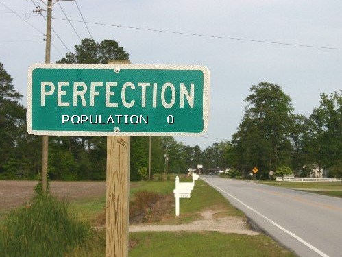 Perfection-499x375c