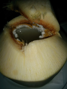 young coconut