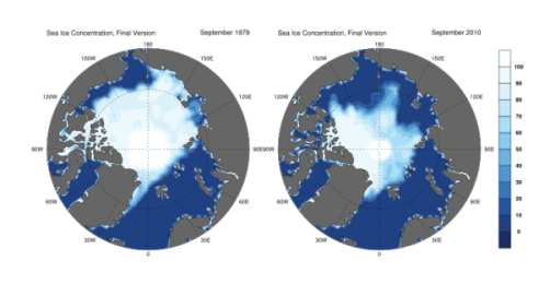 sea_ice