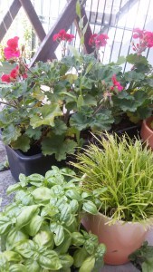 20150625_131617