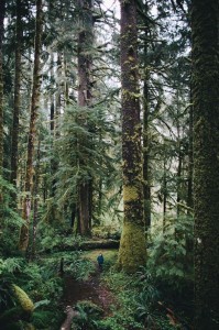 sheltered2