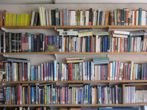 books (1)