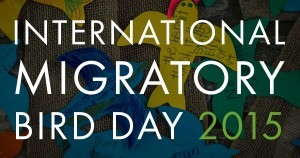 MigratoryBirdDay