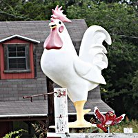 Luling Texas Chicken
