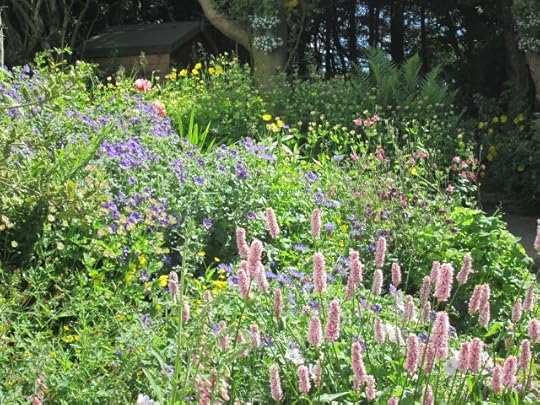 herbaceousbed2.jpg