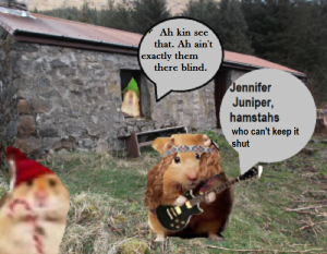 zmed-bbbbbbbubb290909