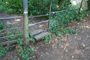 This stile features in My short story; A Walk To Destiny. (c) Jane Risdon 2012 - links on my blog-roll