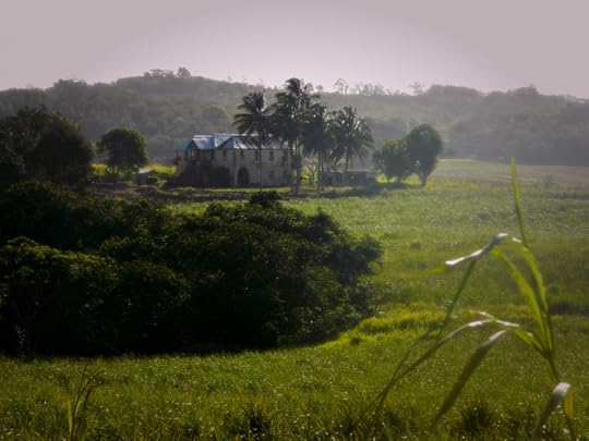 photo 101 day 13 scale and weekend 2 006 tu