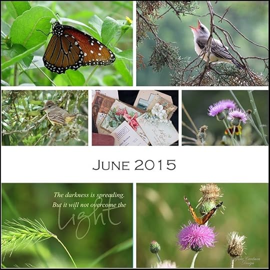 JUNE_Collage