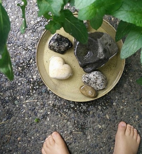 Photo: How to make a bee bath