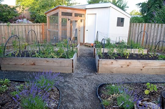 backyard-beds