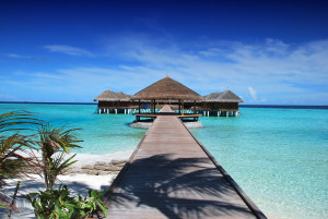 Paradise