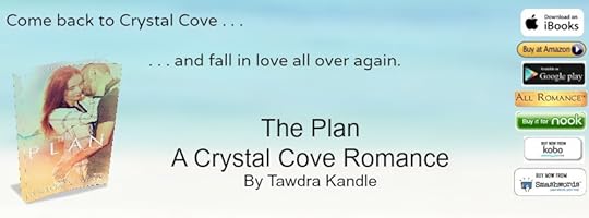 The Plan Banner