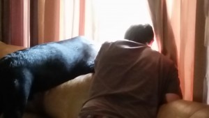 WindowWatching 6-2015