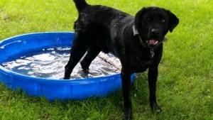 June 2015 Max Pool