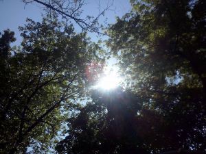 11174978_811394312270953_6777796703078014197_n